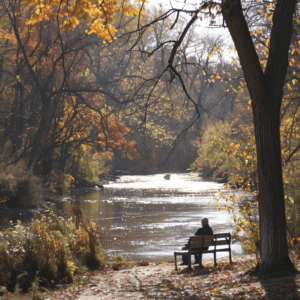 Top 9 State Parks Illinois