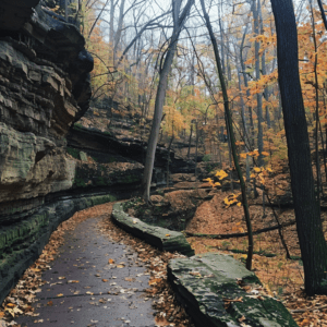 Top 9 State Parks Illinois