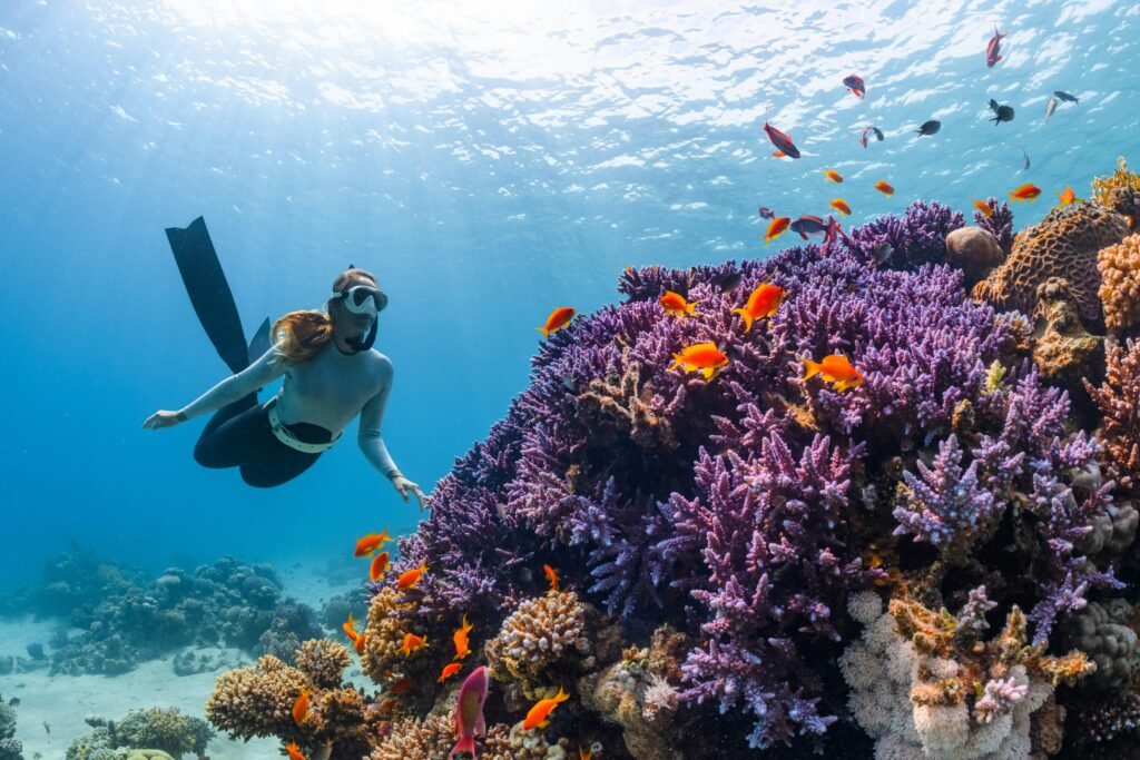 Top Scuba Diving Adventures for Every Level of Diver