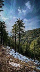 Smart Tips for Traveling Smoothly During Peak Seasons