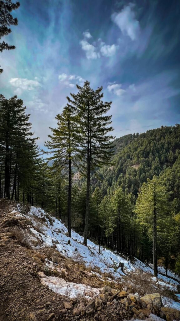 Smart Tips for Traveling Smoothly During Peak Seasons