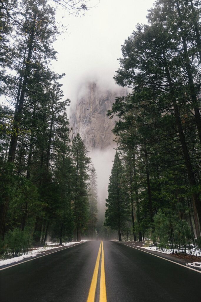 Road Trip Planning Essentials: Your Ultimate Prep Guide