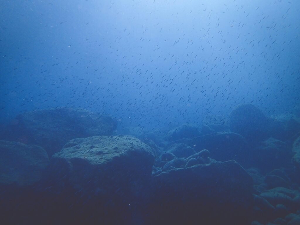 Top Diving Spots Around the World for Underwater Exploration
