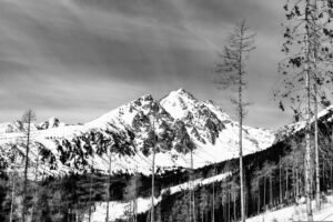 Top Winter Sports Travel Destinations to Explore This Season