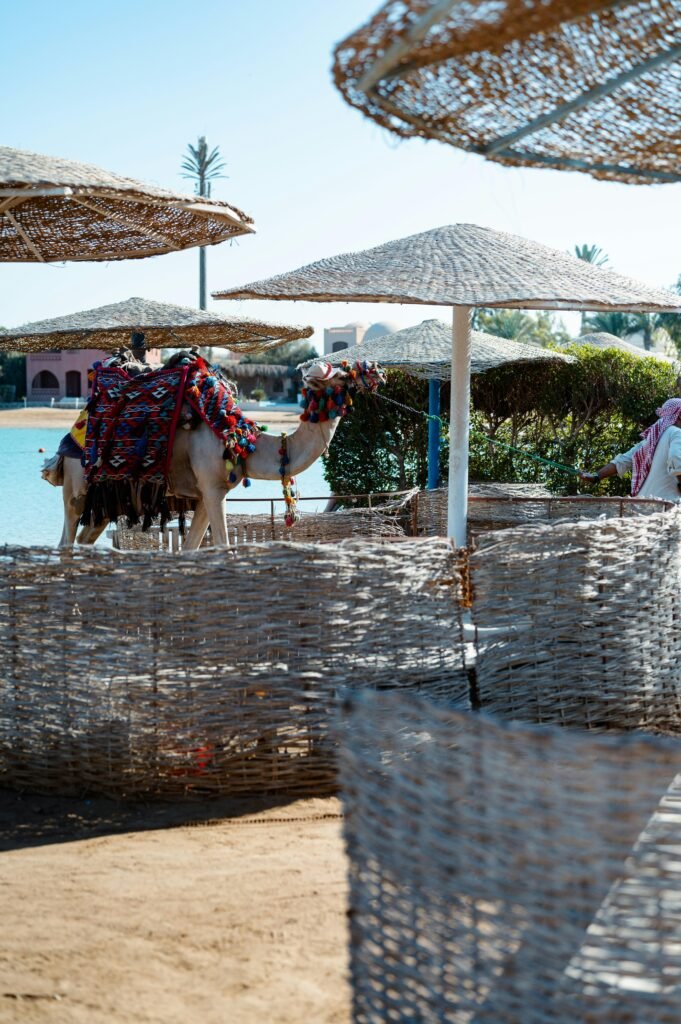 Top All-Inclusive Resorts for a Truly Stress-Free Stay