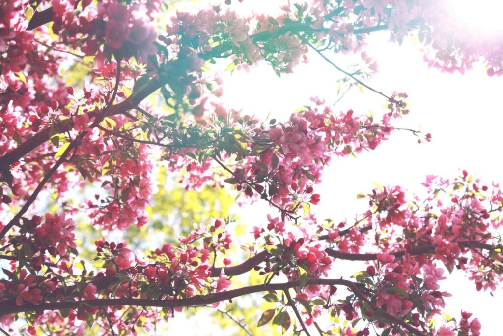 Top Travel Spots to Visit This Spring Break 2024