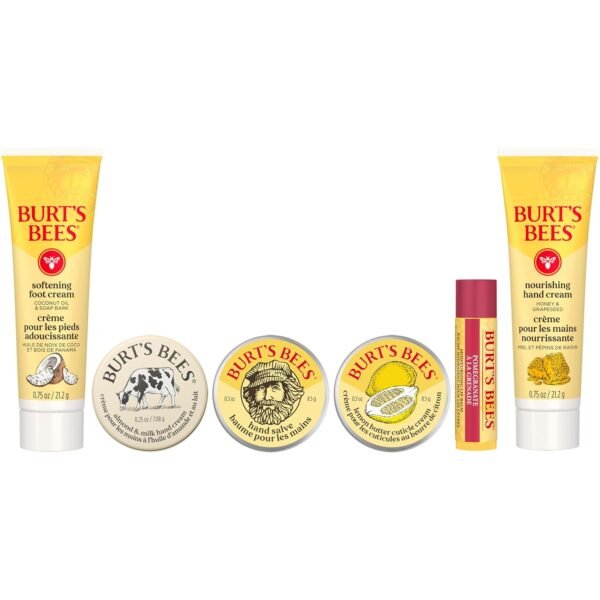 Burt's Bees Gifts Ideas, Tips and Toes Kit, 6 Trav... - Image 17