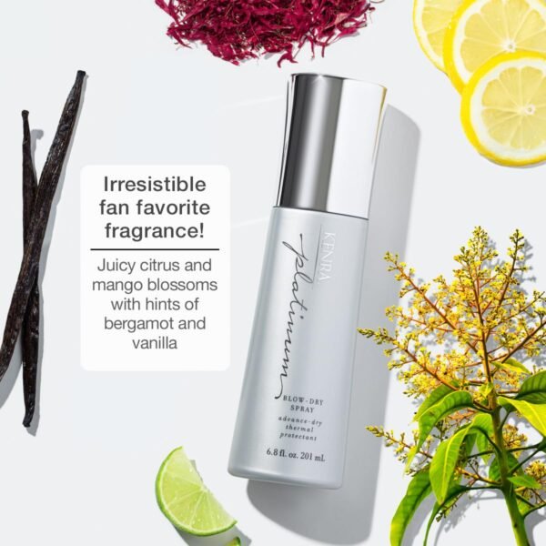 Kenra Platinum Blow-Dry Spray | Time-Saving Heat P... - Image 4