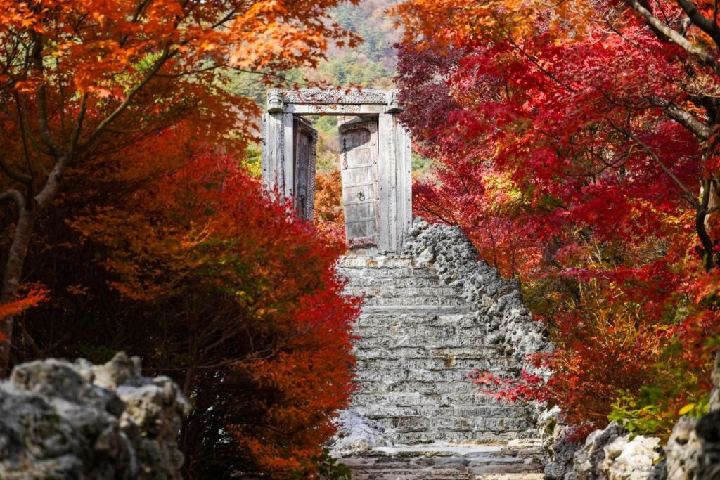 Top Fall Foliage Destinations to Visit This Autumn