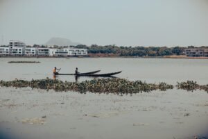 Top Canoeing and Kayaking Adventures to Explore Now