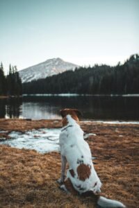 Top Camping and Backpacking Spots for Your Next Adventure