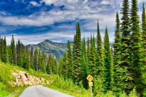 Top Destinations Every Nature Lover Should Explore in 2024