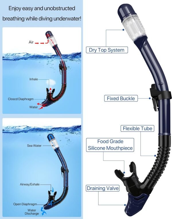 Snorkeling Gear for Adults Men Women,4 in 1 Snorke... - Image 4