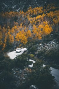 Top Fall Vacation Spots for Stunning Scenic Views