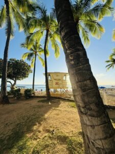 Top Tropical Beach Vacations to Visit for Your Perfect Escape Top Tropical Beach Vacations to Visit for Your Perfect Escape