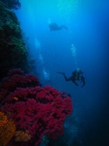 Top Diving Destinations for Amazing Underwater Exploration Top Diving Destinations for Amazing Underwater Exploration